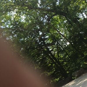 Meet your Posher, Pamela